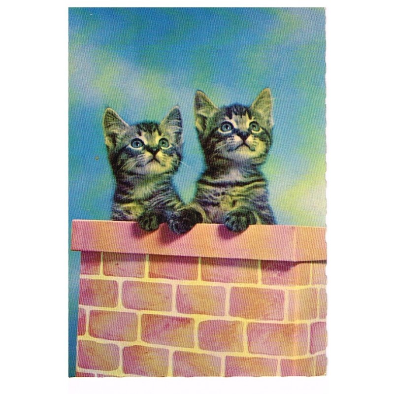 CARTE POSTALE CHATONS SUR UNE CHEMINEE