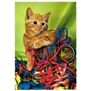 CARTE POSTALE CHATON ET SERPENTINS