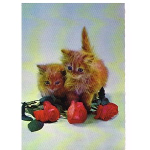 CARTE POSTALE CHATONS ET ROSES