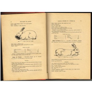 LIVRE - LES LAPINS