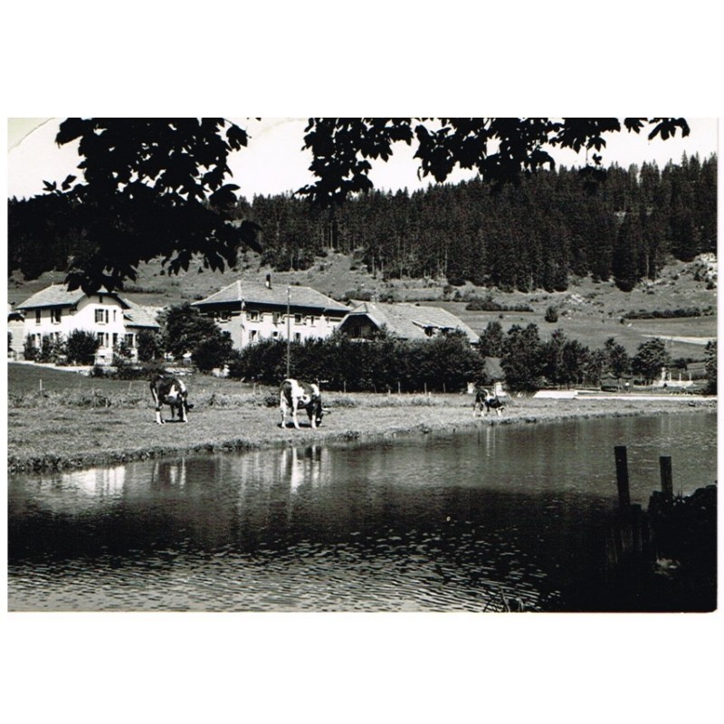 CP25 OYE ET PALLET - COLONIE SNCF "LA CLAIRIERE"