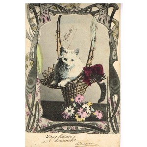 CARTE POSTALE ANCIENNE - CHAT DANS UN PANIER ET FLEURS