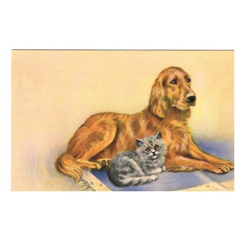 CARTE POSTALE CHAT ET CHIEN SUR TAPIS SIGNEE M. GEAR