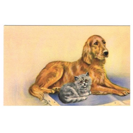 CARTE POSTALE CHAT ET CHIEN SUR TAPIS SIGNEE M. GEAR