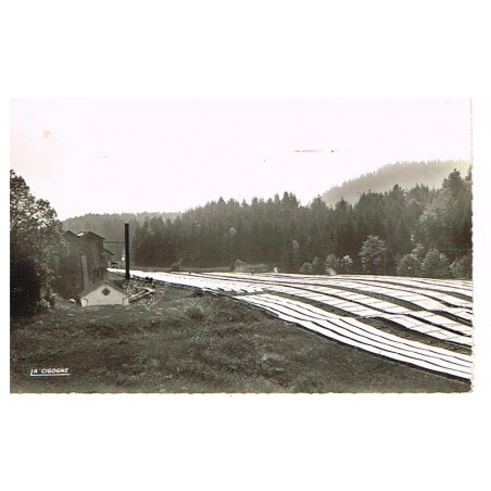 CP88 GERARDMER - BLANCHIMENT DU LINGE SUR PRES