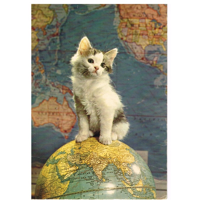 CARTE POSTALE CHATON SUR UN GLOBE