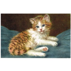 CARTE POSTALE CHATON AUX YEUX BLEUS