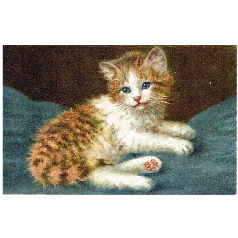 CARTE POSTALE CHATON AUX YEUX BLEUS