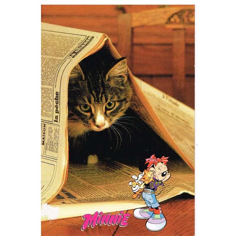 CARTE POSTALE CHATON SOUS UN JOURNAL AVEC MINNIE