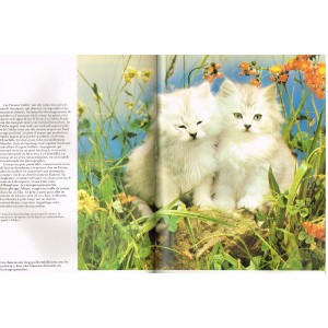 LIVRE - LA BEAUTE DES CHATS