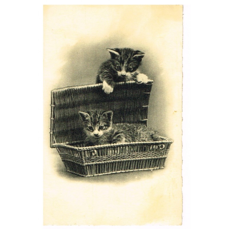 CARTE POSTALE ANCIENNE CHATONS DANS UN PANIER