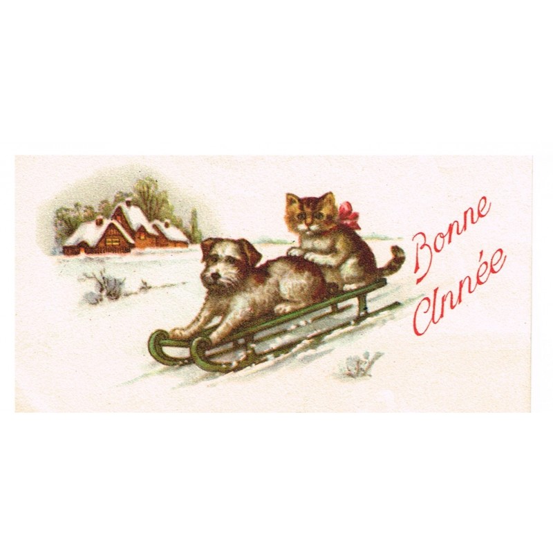 CARTE CHAT ET CHIEN HUMANISES - BONNE ANNEE﻿ - DESCENTE EN LUGE