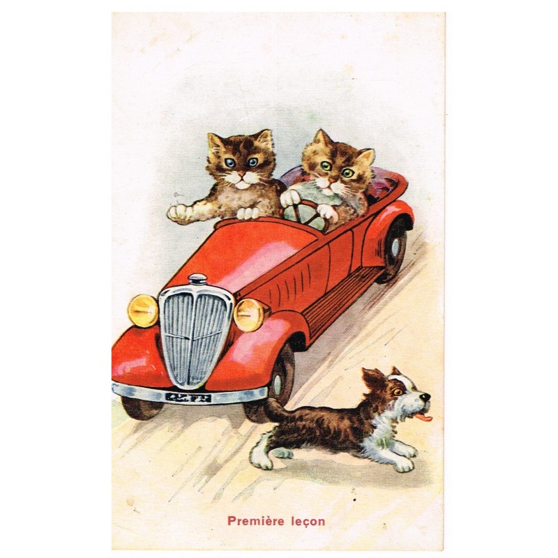 CARTE POSTALE CHATS HUMANISES EN AUTO