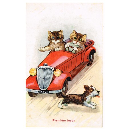 CARTE POSTALE CHATS HUMANISES EN AUTO