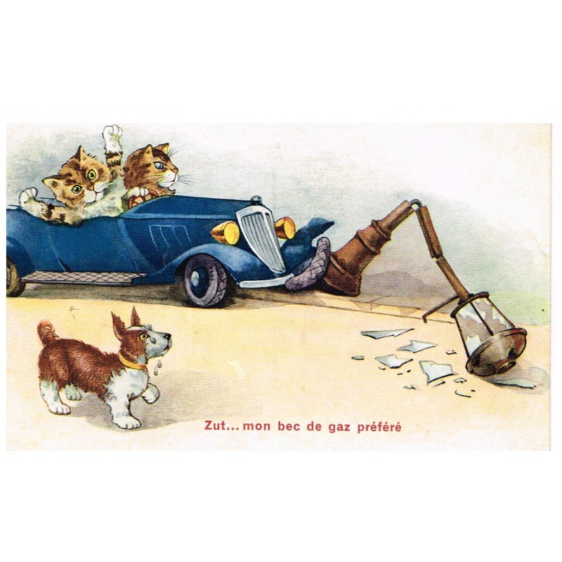 CARTE POSTALE CHATS HUMANISES - ACCIDENT DE VOITURE