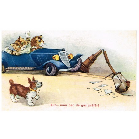 CARTE POSTALE CHATS HUMANISES - ACCIDENT DE VOITURE