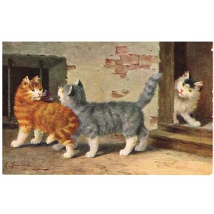 CARTE POSTALE TROIS CHATS - SIGNEE