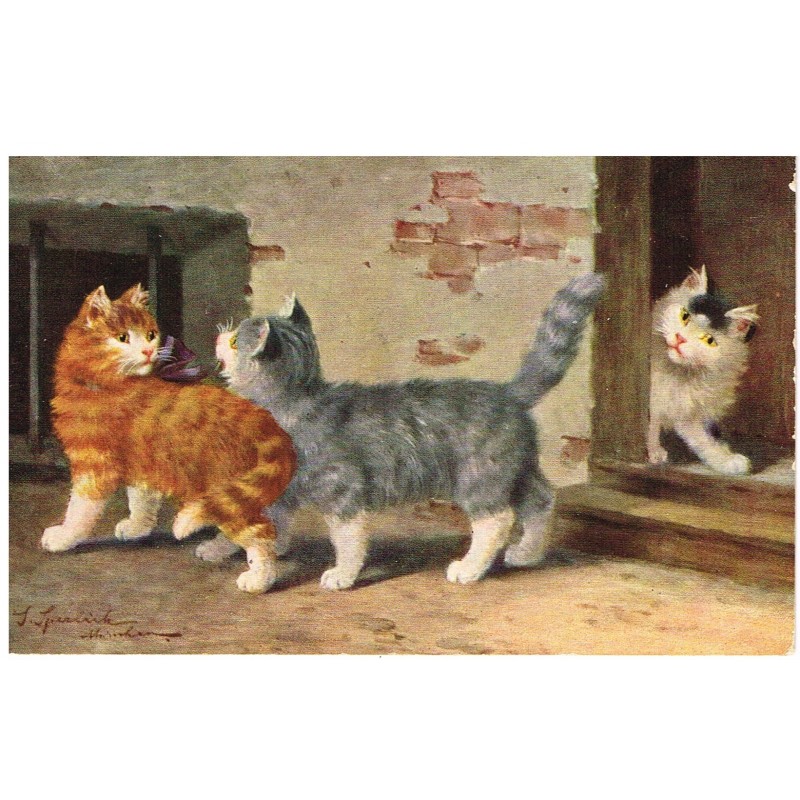 CARTE POSTALE TROIS CHATS - SIGNEE