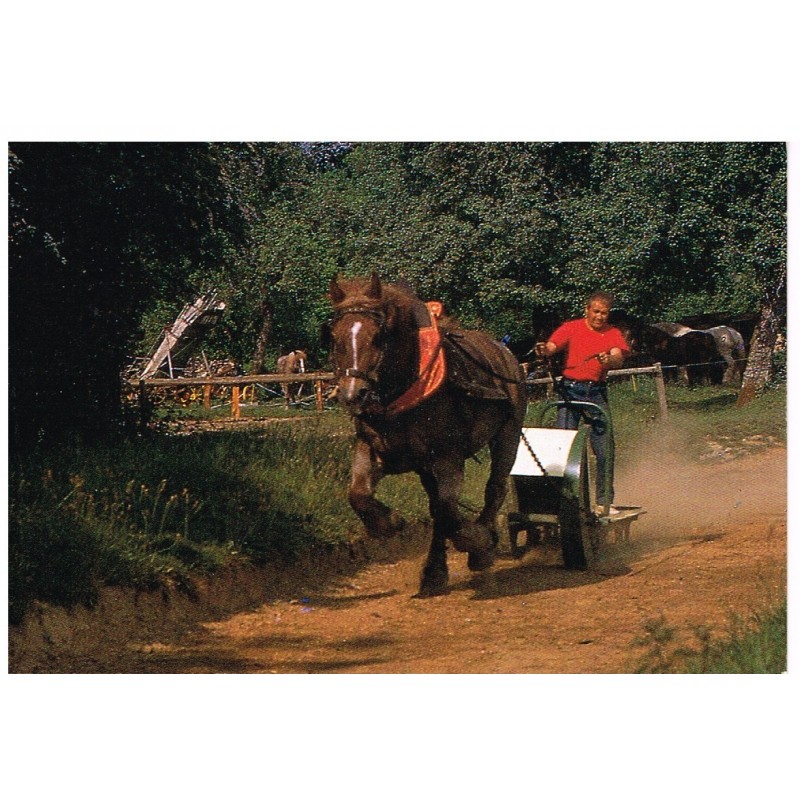 CP61 JUVIGNY-SOUS-ANDAINE - FERME DU CHEVAL DE TRAIT LA MICHAUDIERE.