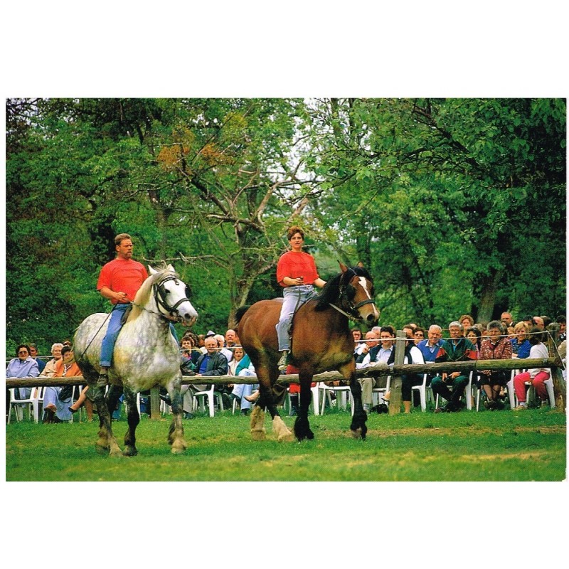 Carte postale de l'ORNE - JUVIGNY-SOUS-ANDAINE -  (61) - FERME DU CHEVAL DE TRAIT - LA MICHAUDIERE. CAVALIERS