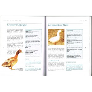 LIVRE - LES OIES ET LES CANARDS