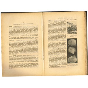 LIVRE - GEOLOGIE ET PALEONTOLOGIE - LEON BERTIN