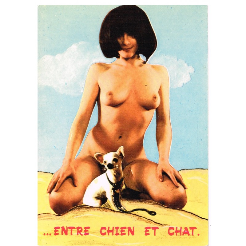 CARTE POSTALE HUMOUR SEXY ... ENTRE CHIEN ET CHAT