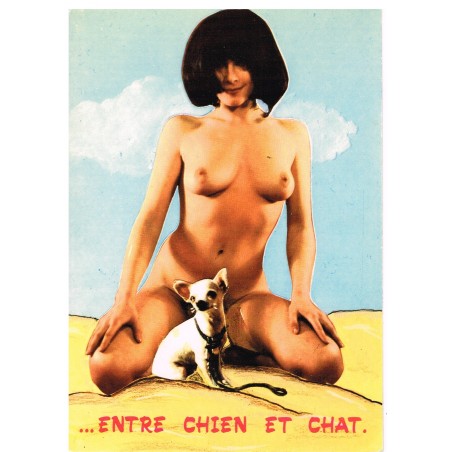 CARTE POSTALE HUMOUR SEXY ... ENTRE CHIEN ET CHAT