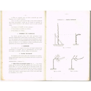 MANUEL PRATIQUE DE CULTURE FRUITIERE COMMERCIALE N° 35