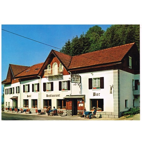 CP88 LE THILLOT - HOTEL - RESTAURANT LE PERCE NEIGE