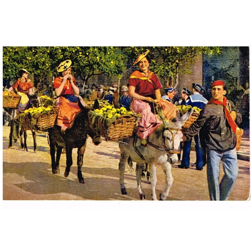 CP06 MENTON - LA FETE DU CITRON.