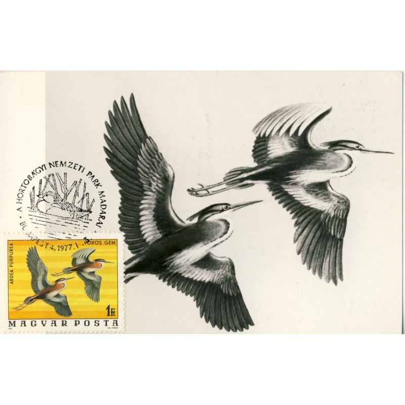 adrea-purpurea-carte-1er-jour-de-hongrie