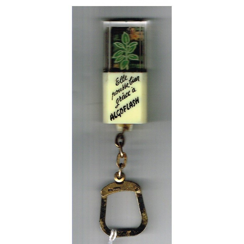 PORTE CLES LUDOVISION MOBILE ALGOFLASH