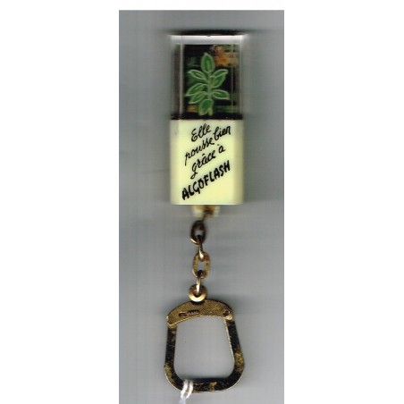 PORTE CLES LUDOVISION MOBILE ALGOFLASH