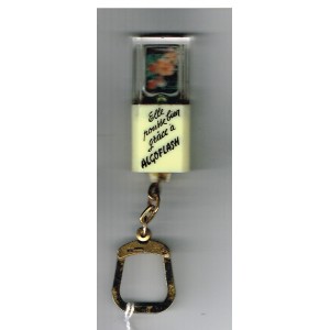PORTE CLES LUDOVISION MOBILE ALGOFLASH