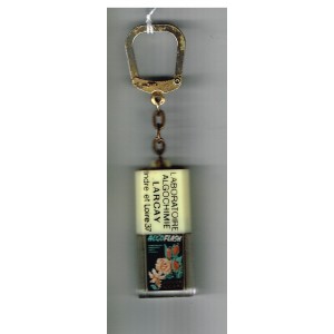 PORTE CLES LUDOVISION MOBILE ALGOFLASH