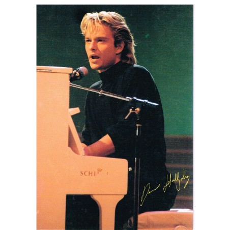 CARTE POSTALE DAVID HALLYDAY C14