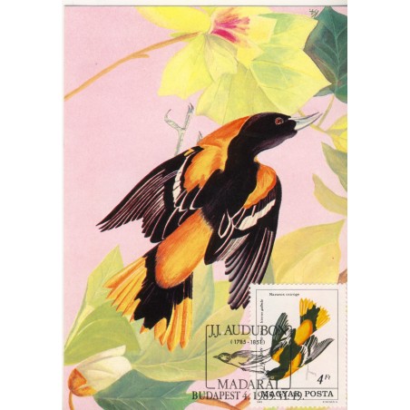 oiseaux-d-audubon-carte-maximum-de-hongrie