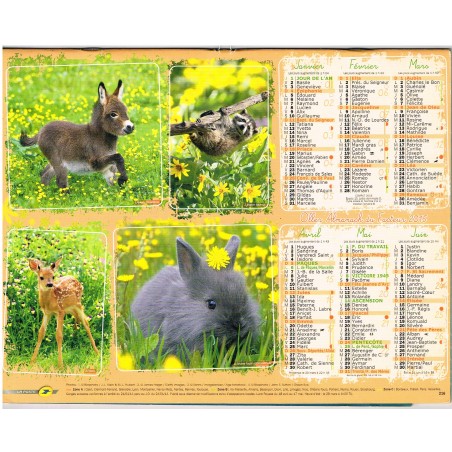 CALENDRIER ALMANACH DU FACTEUR 2015 BEBES ANIMAUX - RECTO