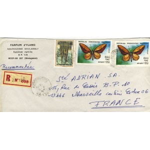 papillon-troqonoptera-croesus-et-cathedrale-cologne-sur-lettre-de-madagascar