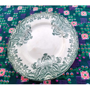 ASSIETTE TERRE DE FER VERTE...