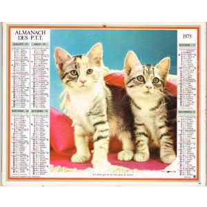 CALENDRIER 1975 DUO DE CHATONS  - VERSO