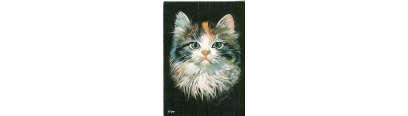 cartes postales chats